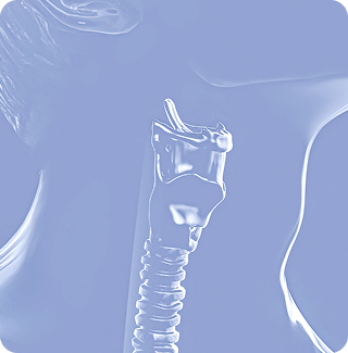 Graphic of a person's larynx.